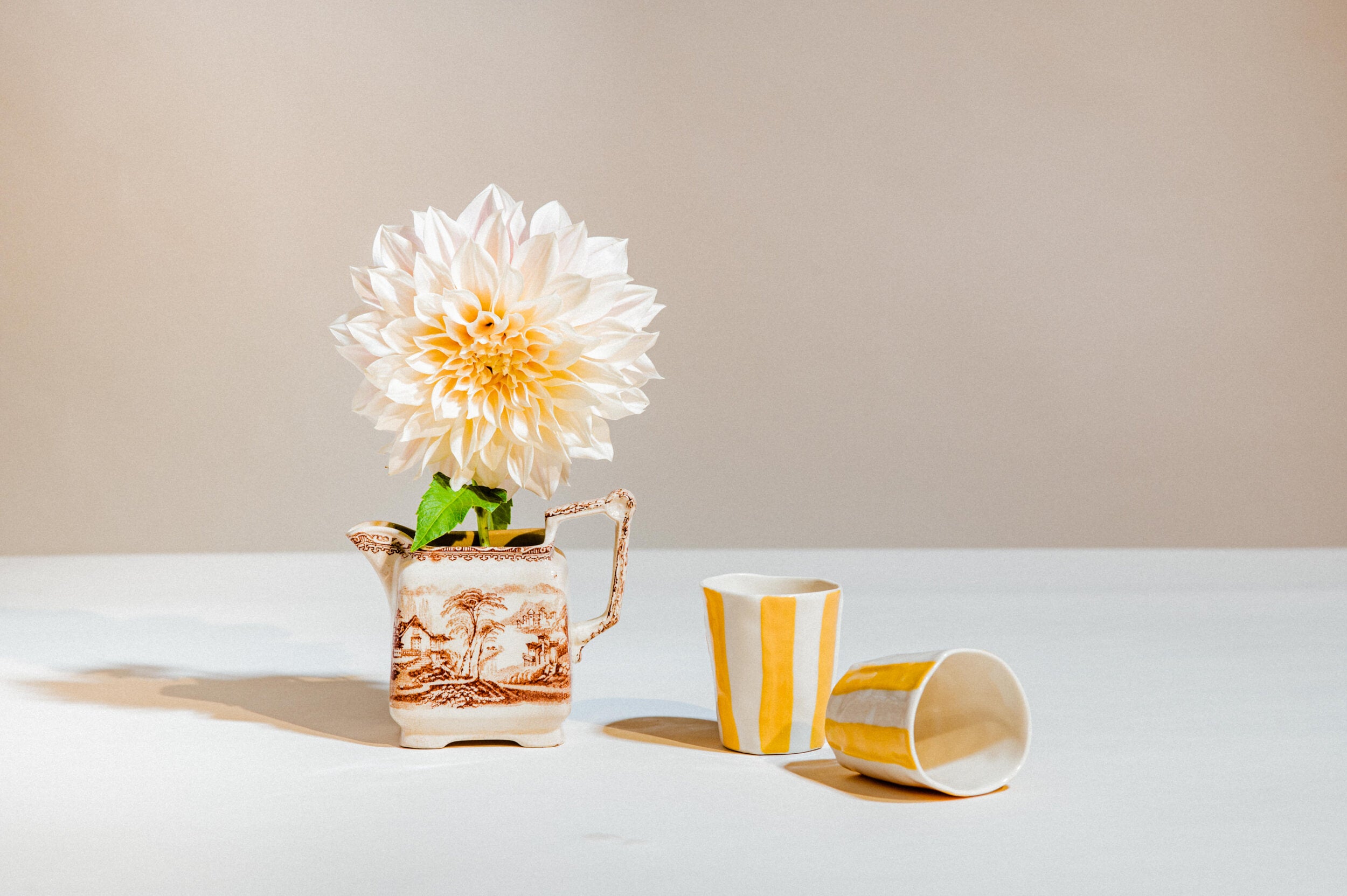 Fall Pack of Wine Cups