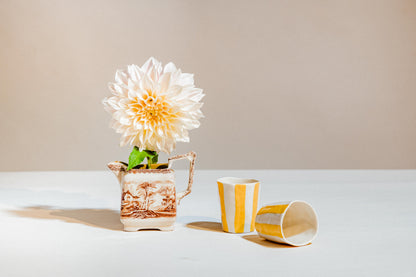 Fall Pack of Wine Cups